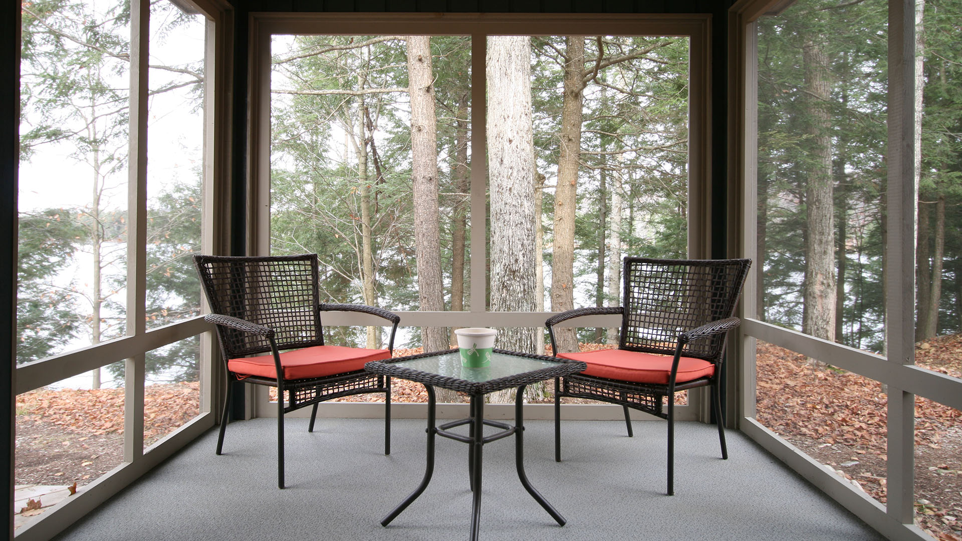 architect designed cottage - lake of bays muskoka - private screen porch
